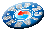 logo top service